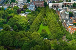 Bomen leveren op